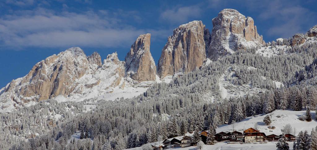 Appartamenti Ladina Campitello di Fassa Eksteriør billede
